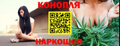 спиды Будённовск