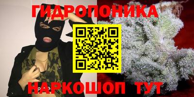 спиды Будённовск