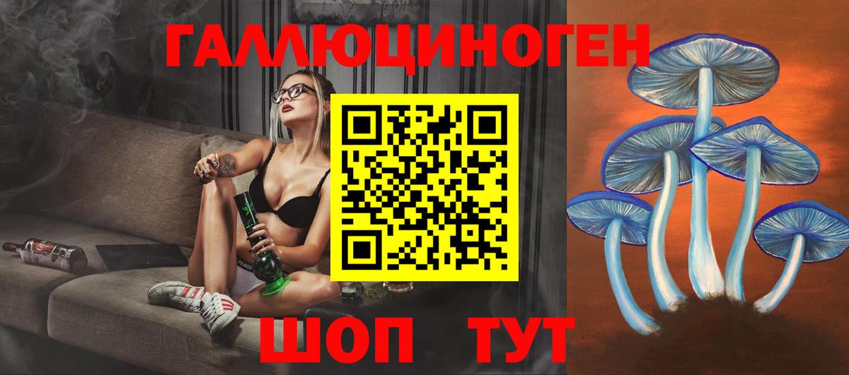 Лесосибирск  Псилоцибиновые грибы GOLDEN TEACHER  Вход с VPN  Галлюциногенные грибы Magic Shrooms 